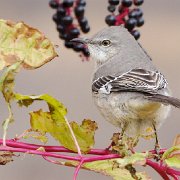 MG 0284 - Version 2 - Version 2